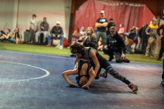 SBM24-15